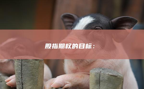 股指期权的目标