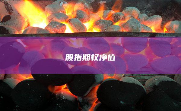 股指期权净值