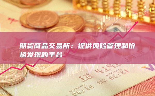提供风险管理和价格发现的平台
