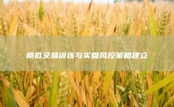 模拟交易训练与实盘风控策略建立