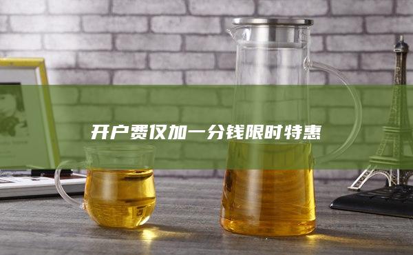 开户费仅加一分钱限时特惠