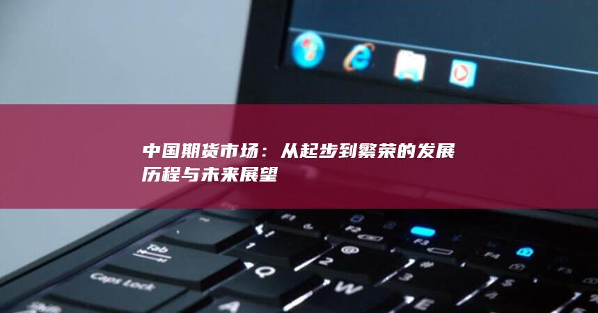从起步到繁荣的发展历程与未来展望