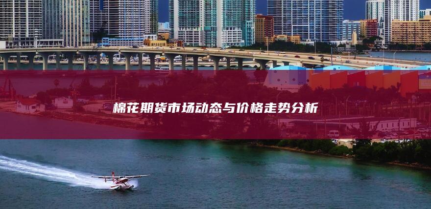 棉花期货市场动态与价格走势分析