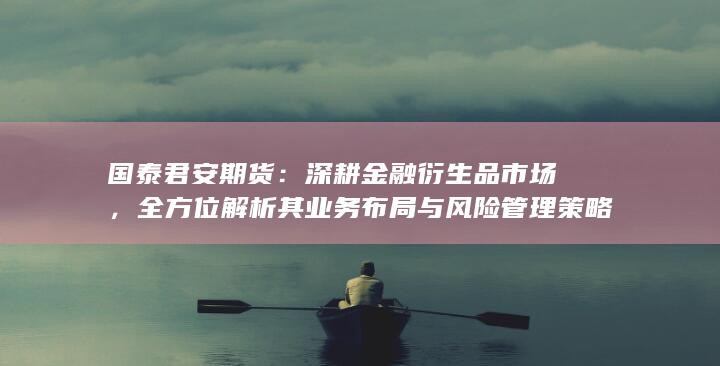 全方位解析其业务布局与风险管理策略