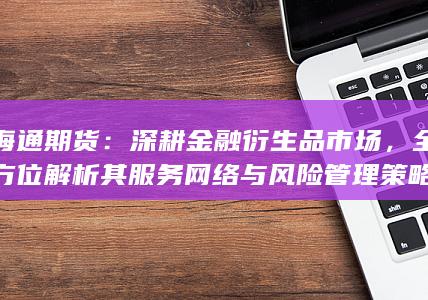 全方位解析其服务网络与风险管理策略