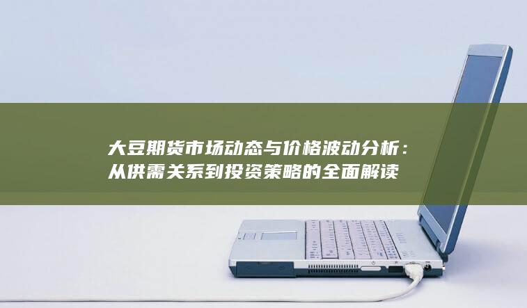 从供需关系到投资策略的全面解读