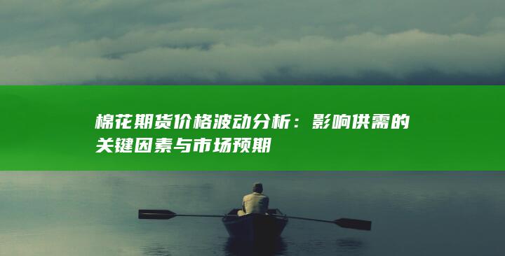 棉花期货价格波动分析